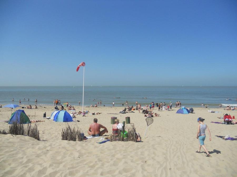 California Wenduine * De Haan